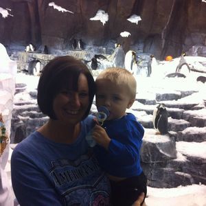 Meet your Posher, Amy